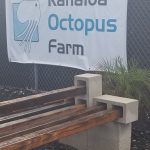 Octopus Farm Kona Hawaii
