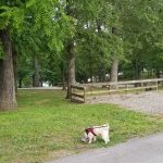Willow Grove Campground, Tennessee